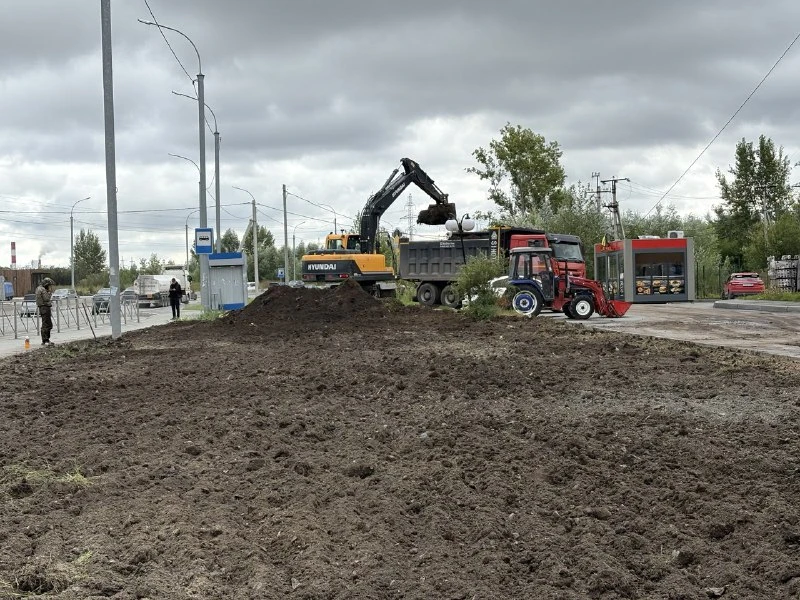 В Новосибирске меняют городские газоны