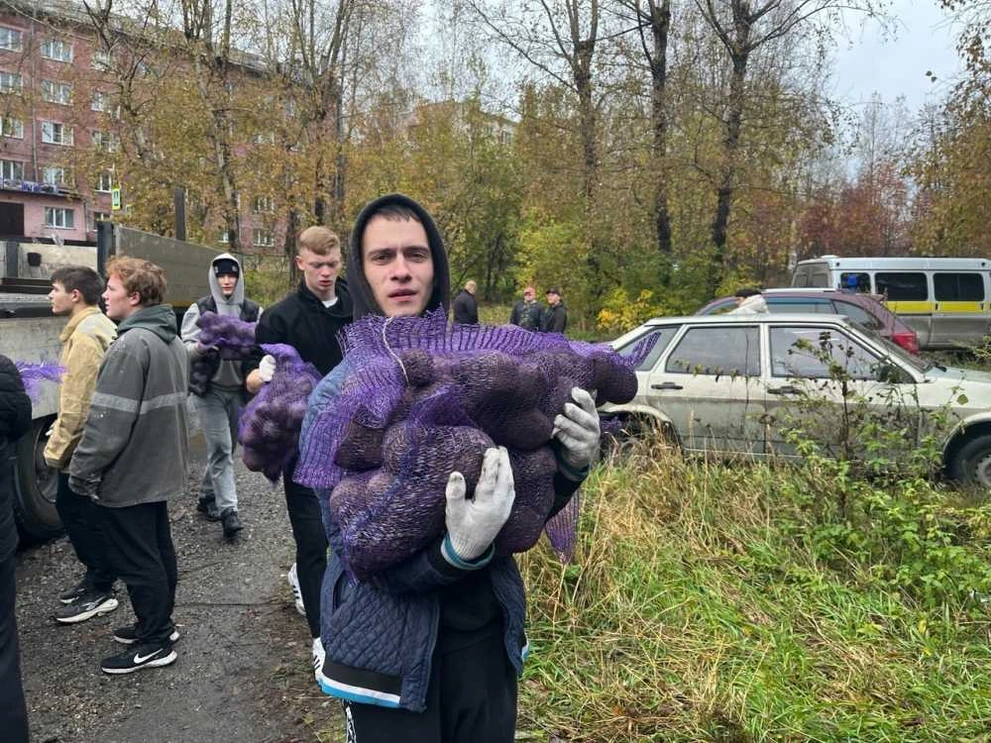 Десять тысяч кузбассовцев получат бесплатные овощные наборы
