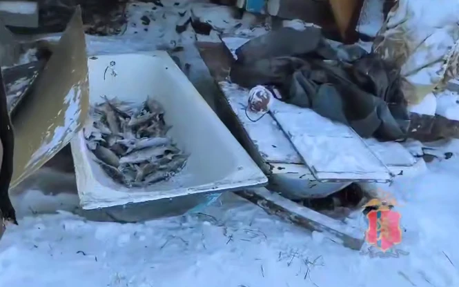 На севере Красноярского края изъято 89 штук незаконно выловленной белой рыбы