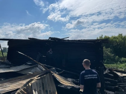 Житель Алтайского края осуждён за поджог дома с детьми