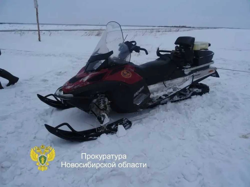 Троих жителей Новосибирской области осудили за незаконную охоту на кабана