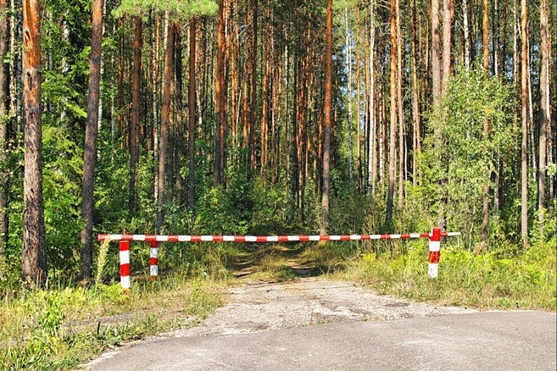 В Иркутской области вновь ввели ограничение на пребывание в лесу