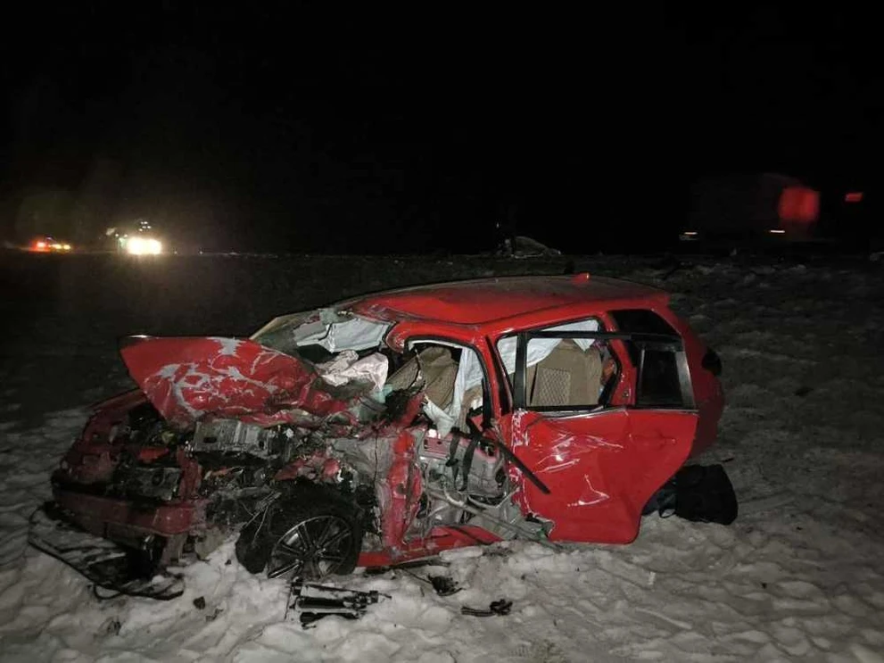 В Туве лошадь на трассе стала причиной смертельного ДТП