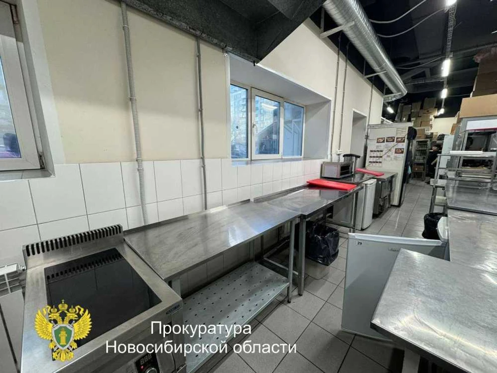В Новосибирске директор общепита осуждена за выпуск опасной продукции
