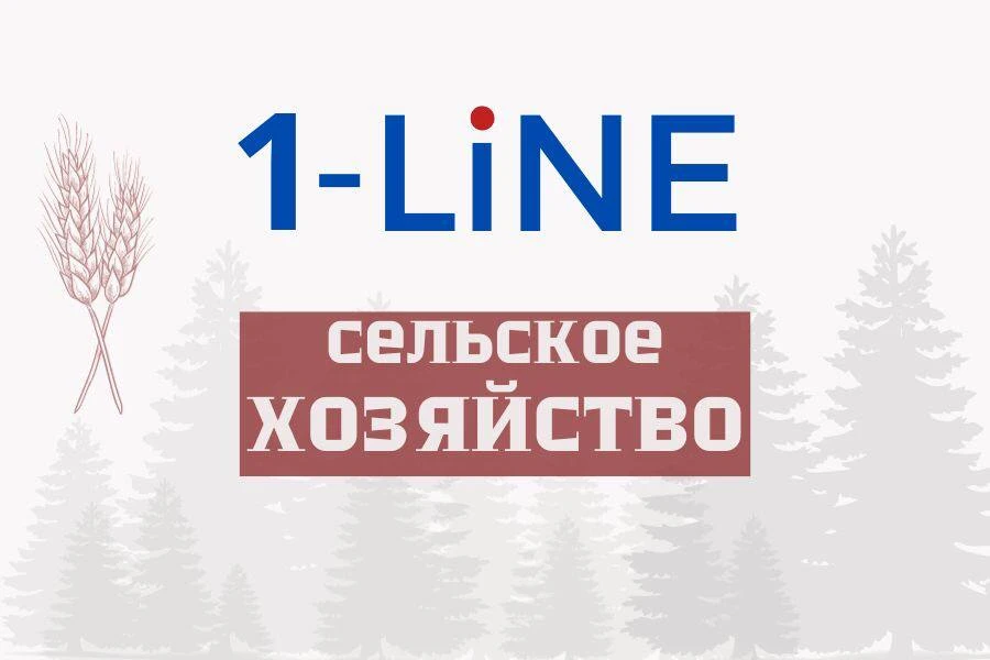 В Алтайском крае предложены изменения в правила выкупа сельхозземель