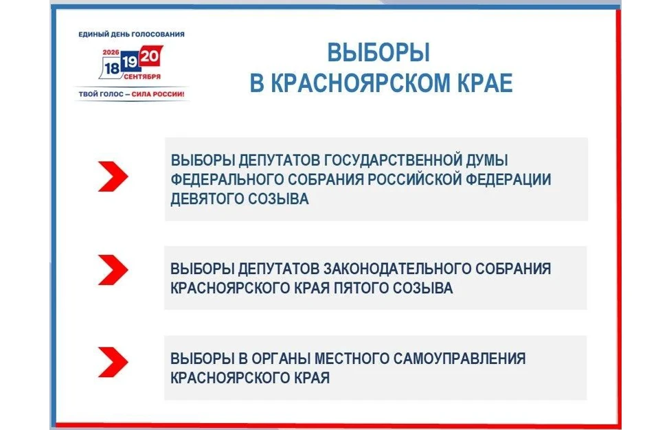 В Красноярском крае проходят 11 избирательных кампаний