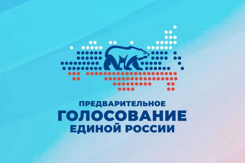В Красноярском крае перезапущена процедура предварительного голосования 