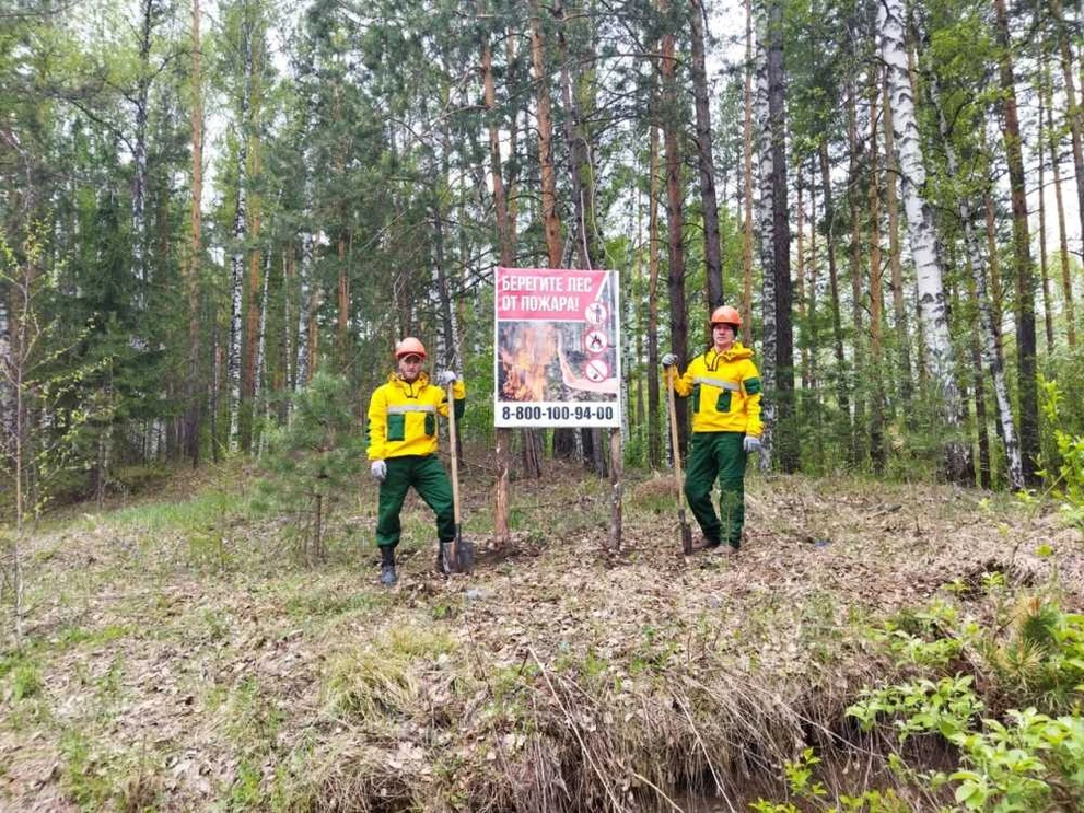 За сутки в Красноярском крае потушен 1 лесной пожар на площади 9 гектаров