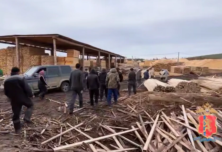 В Красноярском крае организаторы незаконной миграции получили 6 лет колонии 