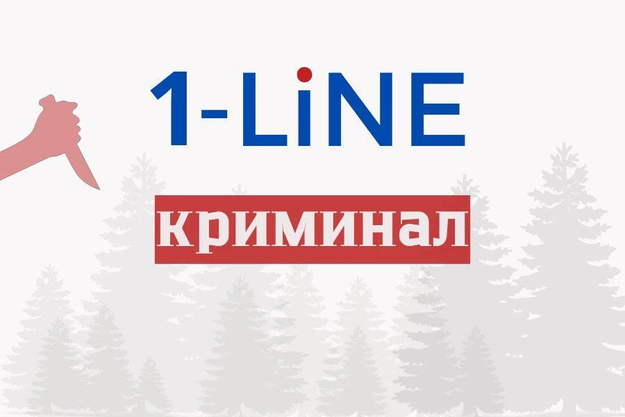 В Красноярске задержали подозреваемого в убийстве на улице Чернышевского  