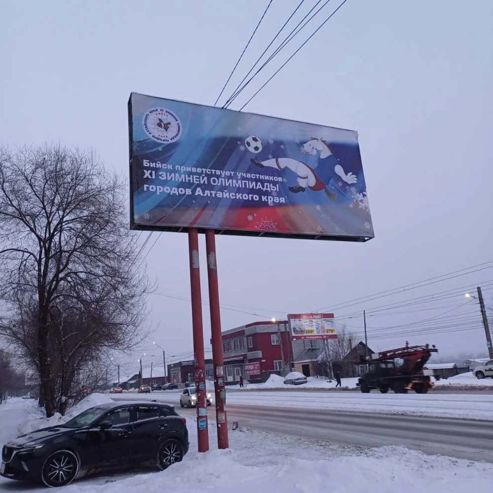 Снегирь и лошадь станут символами зимней Олимпиады в Алтайском крае