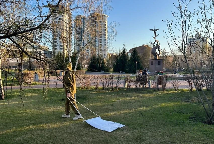 В Красноярске определили первого подрядчика для обработки города от клещей