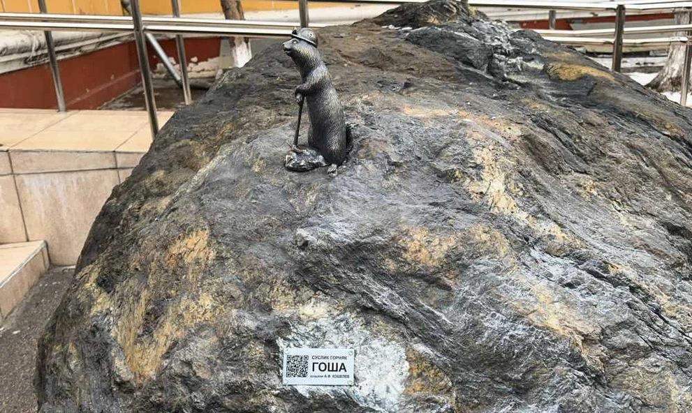 В Красноярске «трудоустроили» нового суслика 