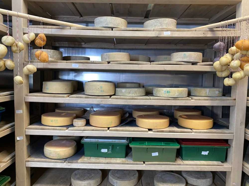 В Новосибирской области отмечен рост производства сыров и мороженого