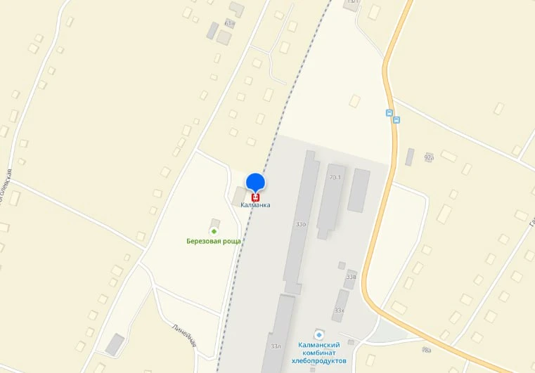 В Алтайском крае под колёсами поезда погибла женщина