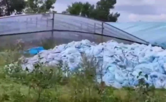В Красноярском крае устранили очаги загрязнения, оштрафовали собственников теплиц 