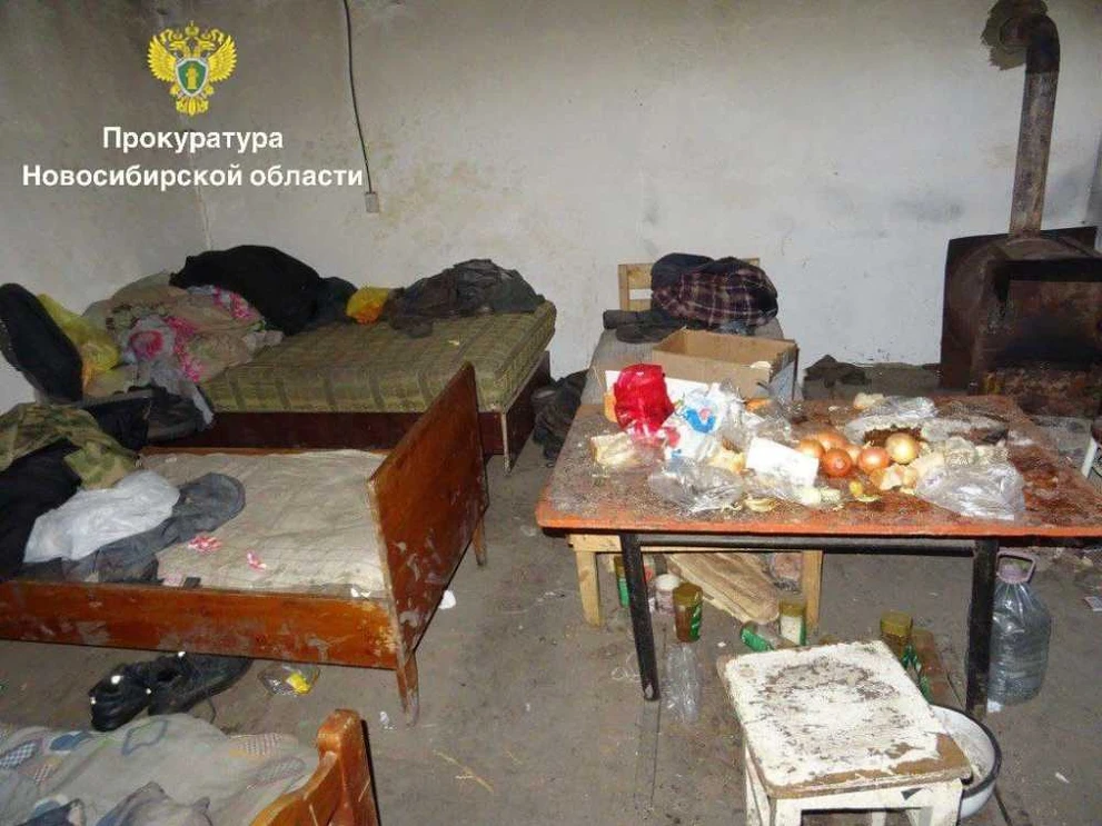 В Новосибирской области осудили отца и сына за использование рабского труда