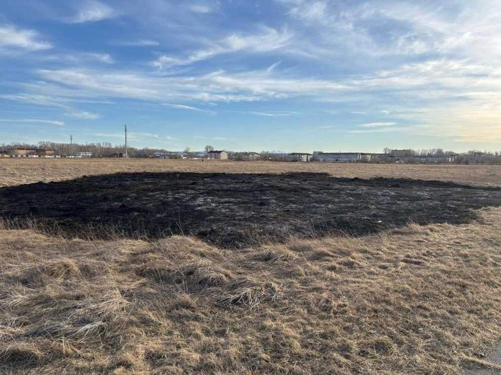 Пожар в поле на 100 кв. м. в Шушенском Красноярского края устроили 3 школьника 