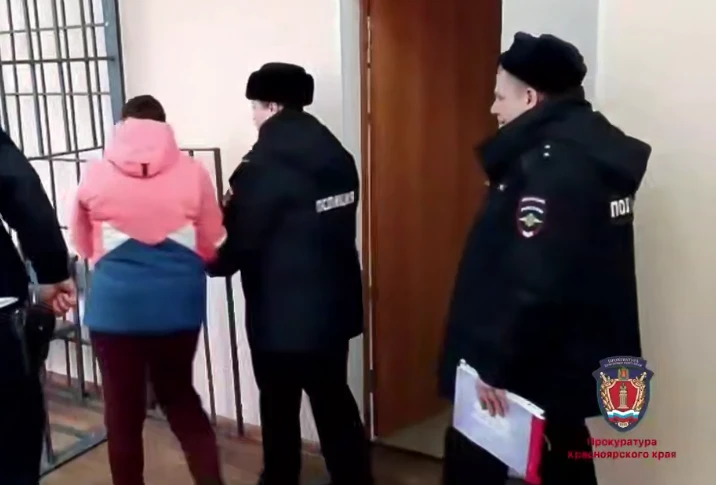 Жительница Красноярского края, обвинившая полицейских в краже, заплатит штраф