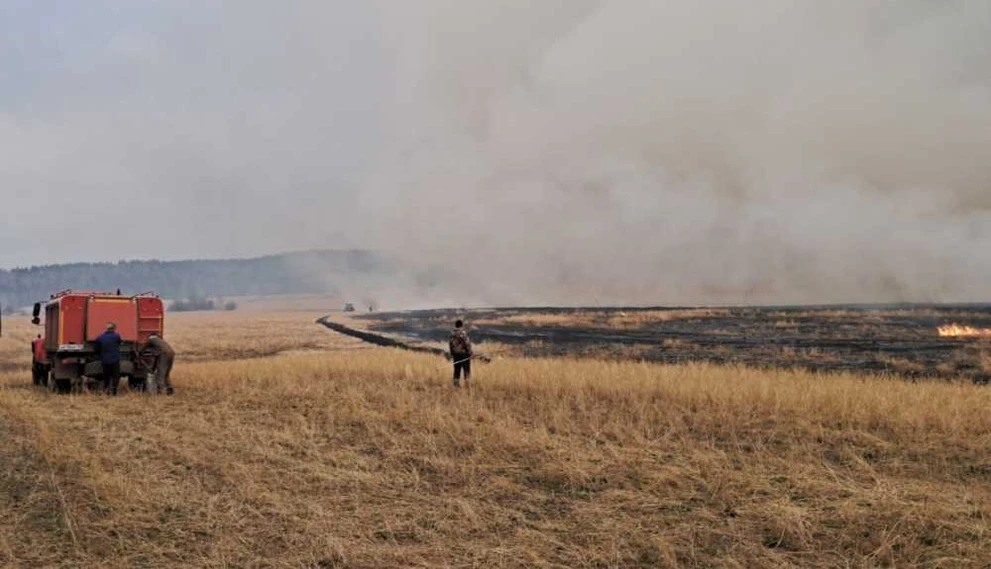 В Красноярском крае поймали ещё одного виновника лесного пожара