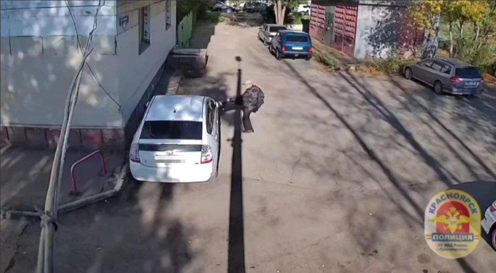 В Красноярске автомобиль «попал под горячую ногу» местного жителя 