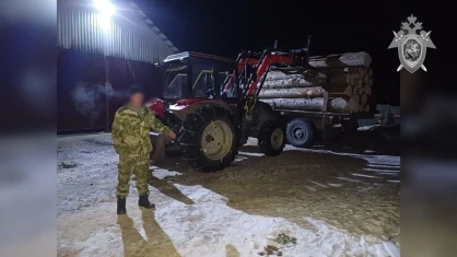 В Республике Алтай мужчина погиб при заготовке древесины