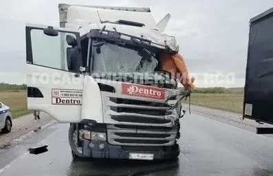 В Новосибирской области водитель фуры погиб в массовом ДТП