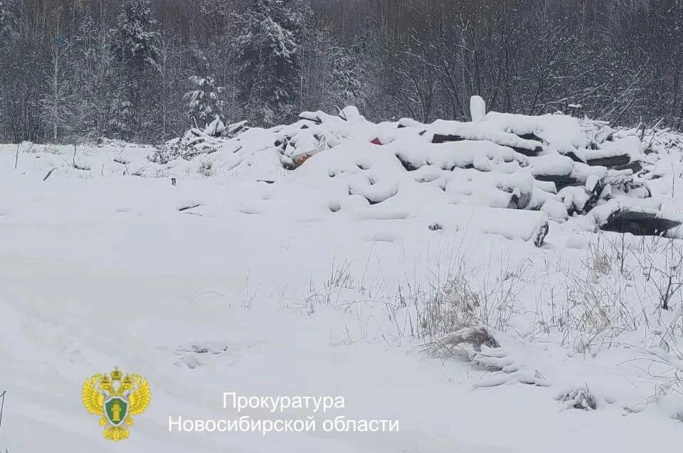 В Новосибирской области по требованию прокуратуры ликвидировали свалку