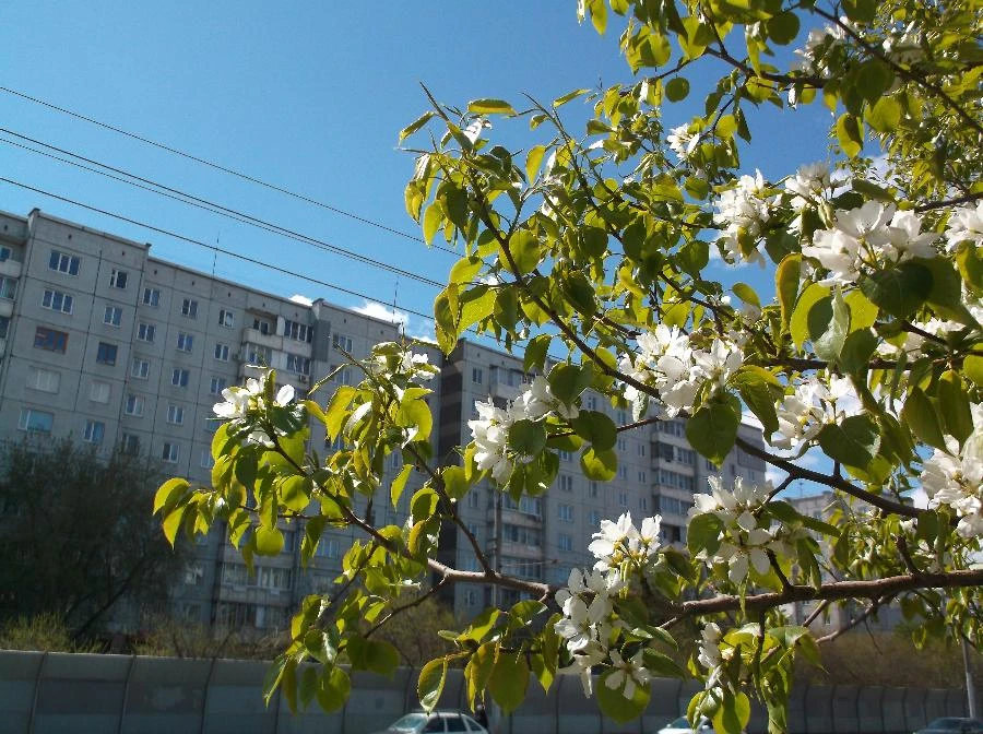 Прогноз погоды в Красноярске на 28 мая