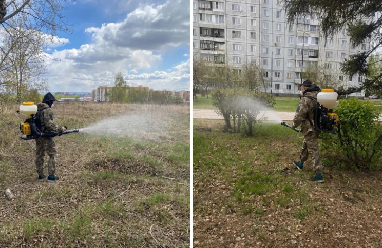 В Красноярске обработали от клещей ещё около 60 га городской территории 