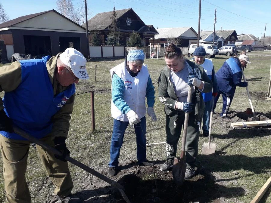 Партийцы «Единой России» в Красноярском крае высаживают деревья в рамках юбилейной акции