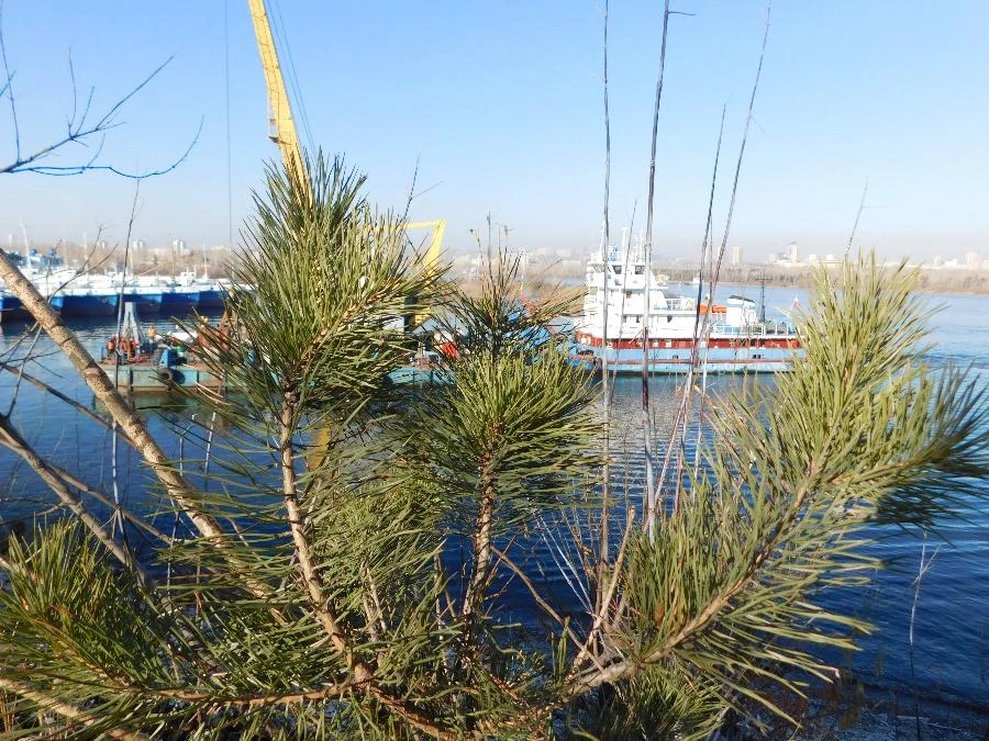 Прогноз погоды в Красноярске на 19 октября