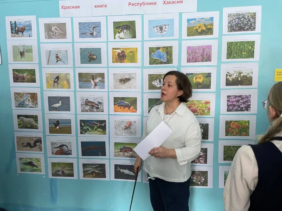 Ученики школы № 29 Абакана создали карту российских заповедников