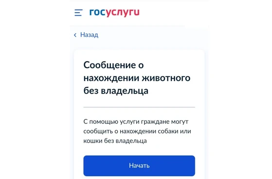На Госуслугах жители Красноярского края могут сообщить о безнадзорном животном