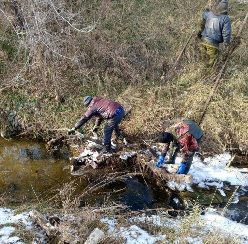 В Ширинском районе Хакасии расчистили устье реки Туим