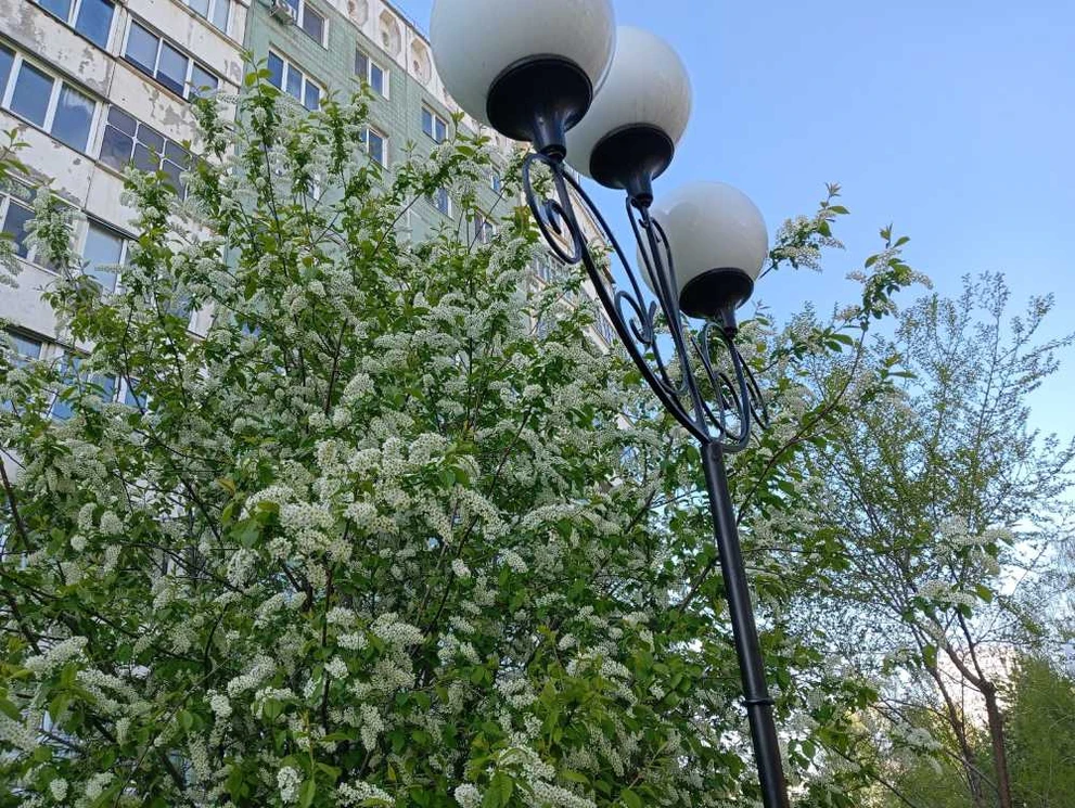 Погода в Красноярске на 31 мая 