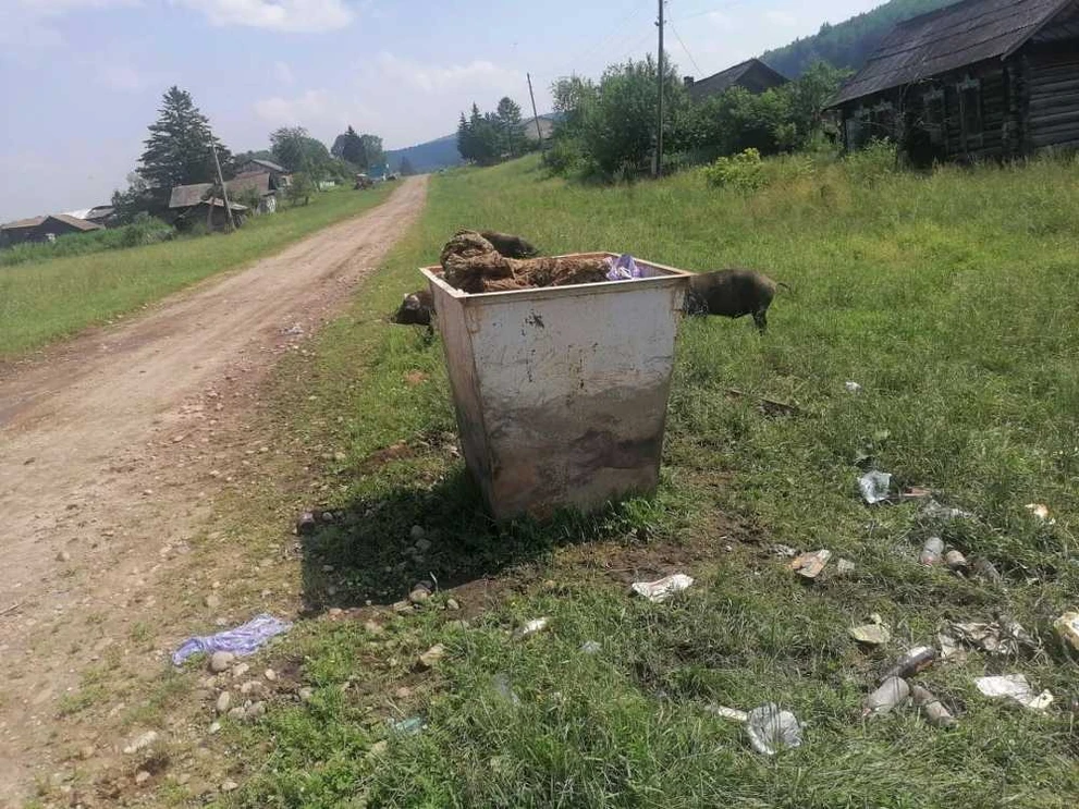 В деревне Красноярского края с мая не вывозят мусор