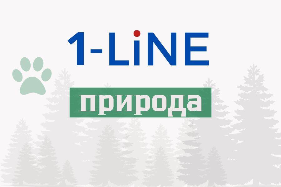 В Омской области приняты новые требования к субъектам хозяйственной деятельности для охраны природы