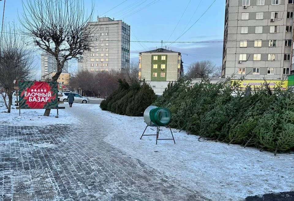 Новогодних базаров в Свердловском районе Красноярска станет в три раза больше