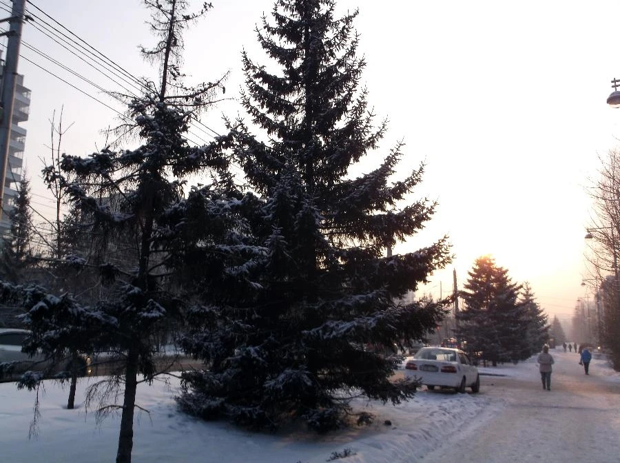Прогноз погоды в Красноярске на 11 февраля