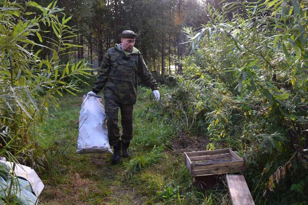 В Красноярском крае очистят берега Маны