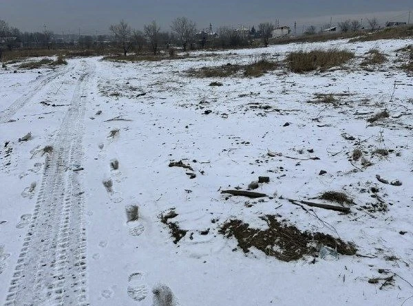 Суд обязал собственников участка в Хакасии убрать мусор и очистить землю
