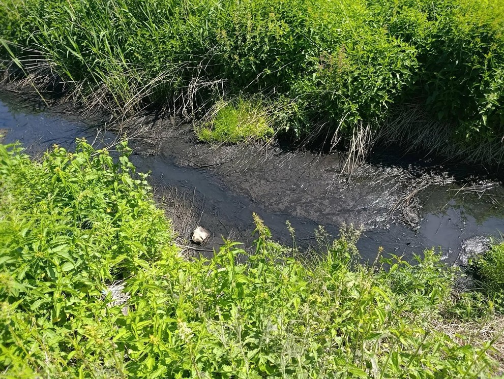 В Красноярском крае сточные воды с вредными веществами стекали прямо на почву