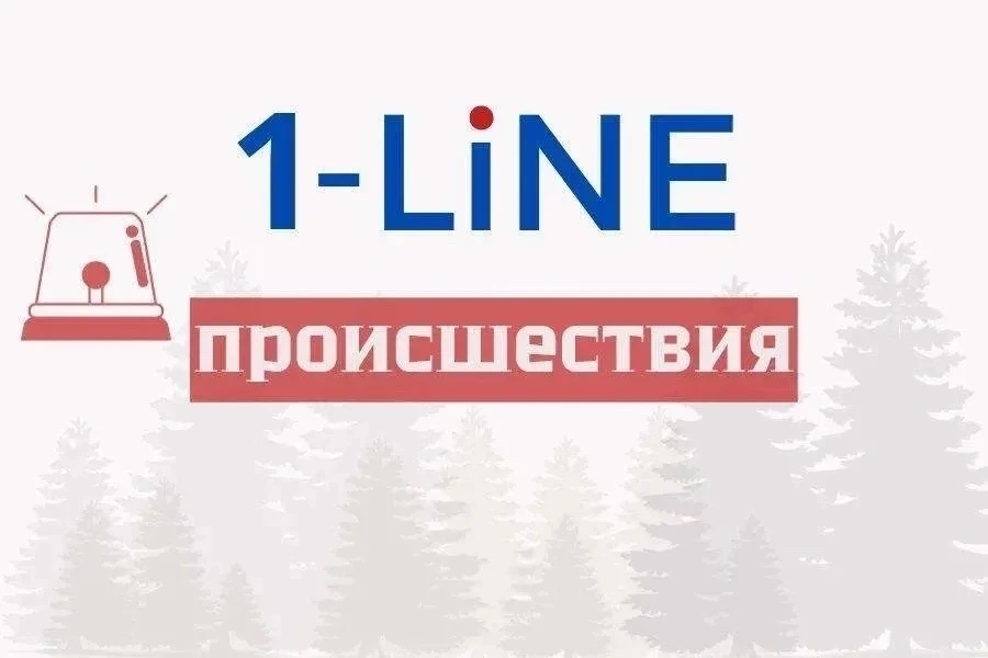 В Кузбассе мужчина погиб после травмирования грузовым поездом