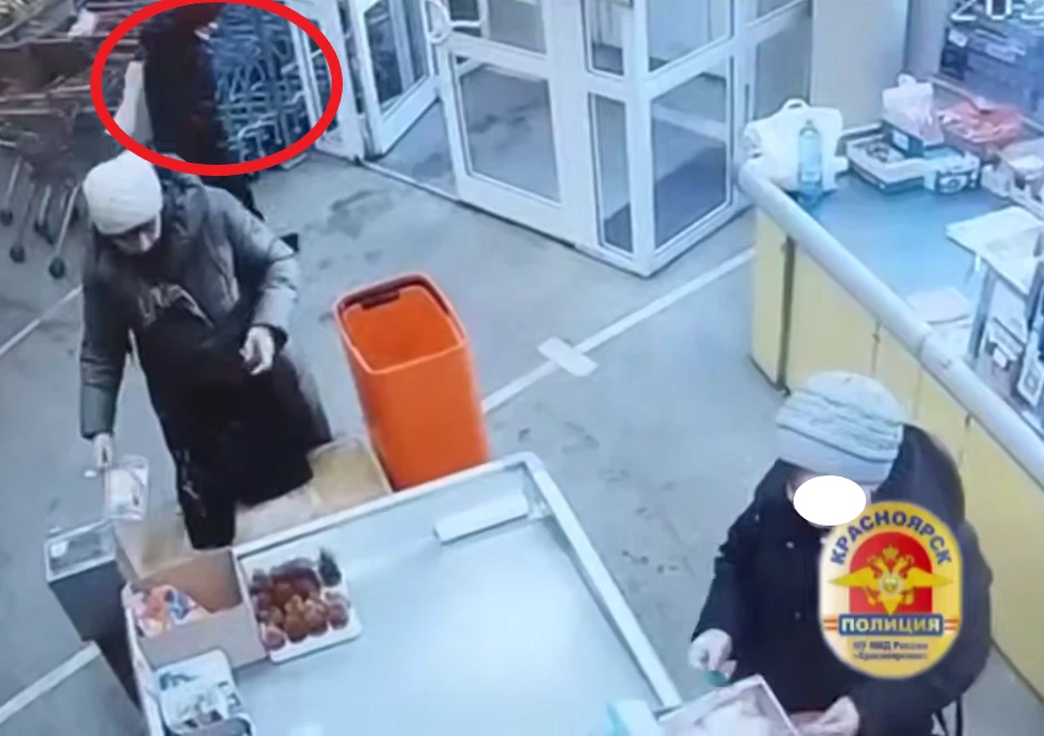 Красноярка за год совершила 53 кражи из продовольственных магазинов 