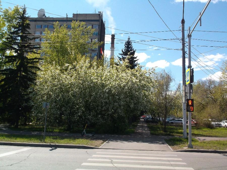 Прогноз погоды в Красноярске на 16 июня