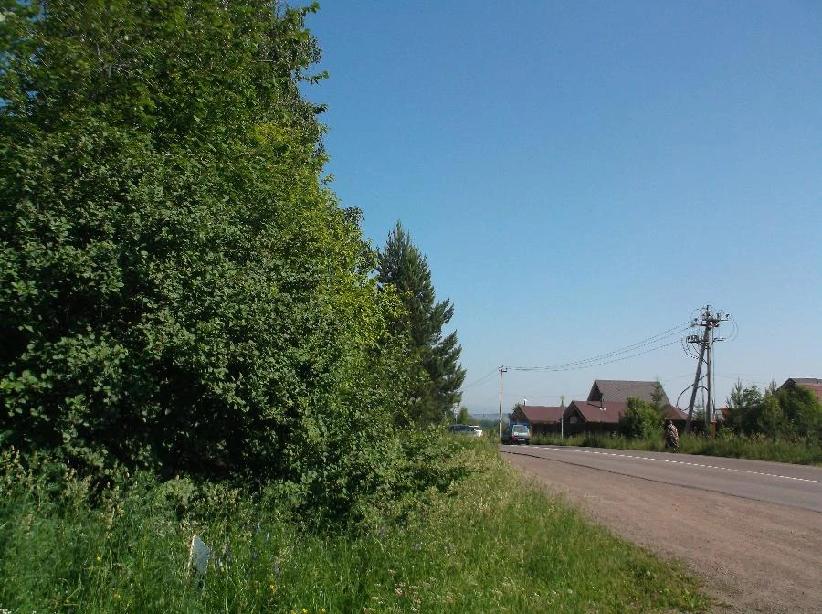 В понедельник жара вернётся в Красноярск
