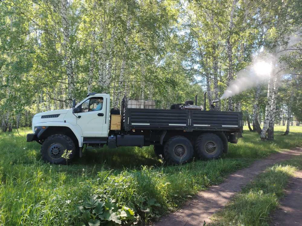 В Новосибирской области обработают 41,5 тысячи гектаров леса от вредителя