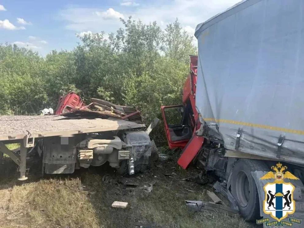 В Новосибирской области в ДТП с грузовыми авто погибли 3 человека