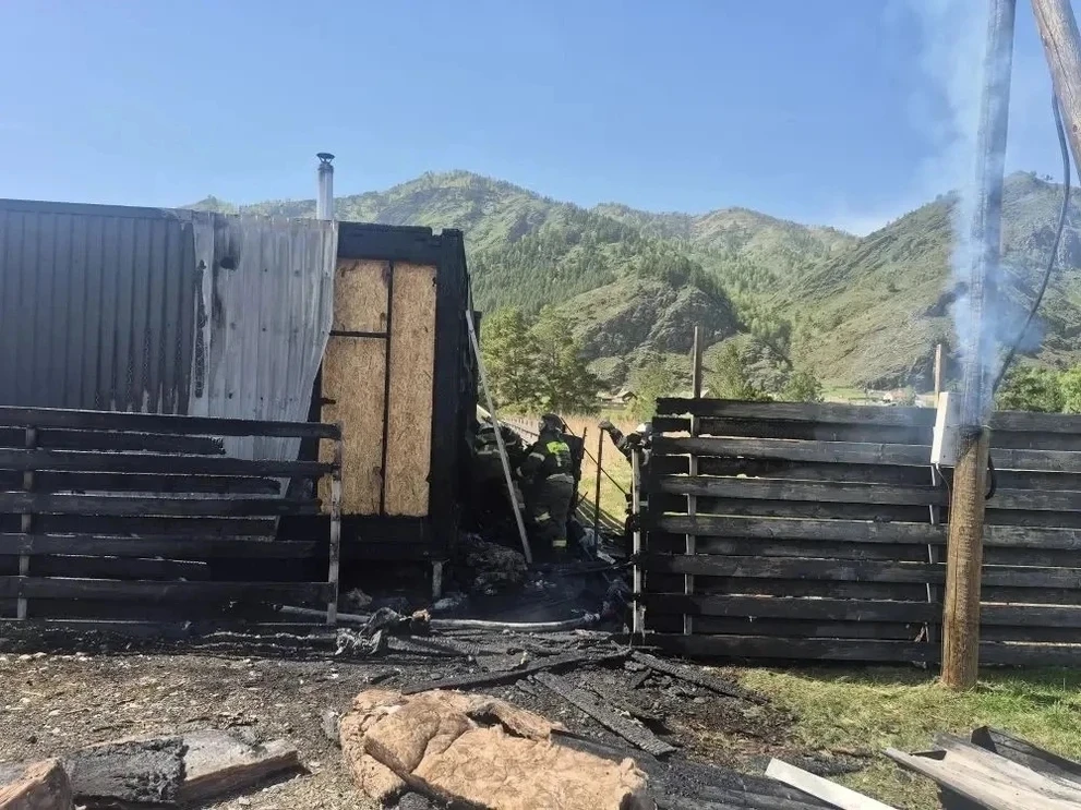 На Алтае за сутки потушили два пожара и вели борьбу с лесным возгоранием